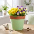 Vilten tape pottentape lichtgroen 15cm 5m | Floristik24.nl