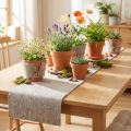 Viltband, pottenband grijs-naturel 15cm 5m | Floristik24.nl