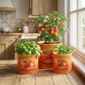 Tomatenplantenpotten set, keramische decoratieve bloempotten voor keuken en retro interieur, 14 cm, set van 3 | Floristik24.nl