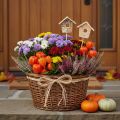 Decoratief vogelhuisje, berkenhout, 5 cm, bloemstokjes, 4 stuks | Floristik24.nl