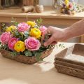 Oasis Biolit Basic Steekschuim 13x13x2cm 12-delige set Bloemendecoratie DIY | Floristik24.nl