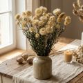Droge decoratie strobloem crème helichrysum gedroogd 50cm 30g | Floristik24.nl