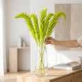 Gedroogde bloemen Amarant geverfd voor bijzondere woondecoratie en unieke accenten 100 cm, 5 stuks | Floristik24.nl