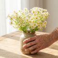 Kunstmatige kamille als boeket bloemen voor natuurlijke en onderhoudsvriendelijke decoratie, 28 cm, 3 stuks | Floristik24.nl