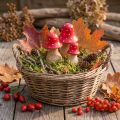 Vliegenzwam decoratie paddenstoelen houten paddenstoelen herfstdecoratie H6/8/10cm set van 3 | Floristik24.nl