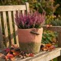 Betonnen bloempot plantenbak terracotta pot Ø18cm H17cm | Floristik24.nl