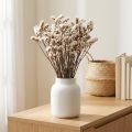 Gedroogde witte zeelavendel (Limonium) bloemen, 60 cm, 35 g | Floristik24.nl