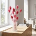 Gedroogde decoratie van wilde kaardebol, roze distels, 53 cm, 10 koppen | Floristik24.nl