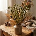 Gedroogde aardbeidistel decoratie, olijfgroen, Ø1–2cm, L55cm, 100g | Floristik24.nl