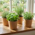Plantenbak, bloempot, papieren plantenbak naturel Ø15cm H13cm 4st | Floristik24.nl