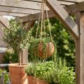 Kokoskom hangend, naturel plantenkom, hangmand Ø8cm L55cm | Floristik24.nl