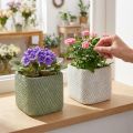 Plantenbak keramiek wit groen reliëf mesh 12,5x12,5cm H9cm 2st | Floristik24.nl