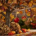 Herfstdecoratie: keramische appels om op te hangen, 5 cm, 4 stuks | Floristik24.nl