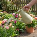 Gieter van 9 liter in olijfgroen met afneembare roos, praktisch voor tuin- en bloemenverzorging, robuust, 42 cm | Floristik24.nl