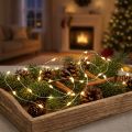 Lichtketting LED lichtdraad met batterijen warm wit 100 1.59m | Floristik24.nl
