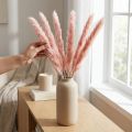 Roze Pampasgras Gedroogde Bloemen Natuurlijke Decoratie 65-75cm 6 stuks | Floristik24.nl