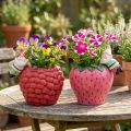 Keramische pot plantenbak randhanger dwerg Ø14,5cm 2st | Floristik24.nl