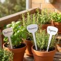 Plantenetiket 10cm 100st | Floristik24.nl