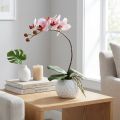 Roze orchidee in keramische pot 31cm | Floristik24.nl