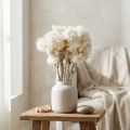 Gedroogde bloemen, kapbloemen, natuurlijk wit, strobloemen, boeket gedroogde bloemen H33cm | Floristik24.nl