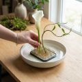 Kenzan Ikebana-bloemstengel, zilverkleurig messing, rechthoekig, 60×45 mm | Floristik24.nl