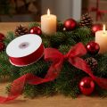 Organza lint met zelfkant lint organza stof 15mm 50m rood | Floristik24.nl