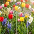 Tuinsteker vlinder metaal driekleurig L25cm 6st | Floristik24.nl