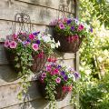 Hangmand planten metaal roest look H30/33,5/40cm set van 3 | Floristik24.nl