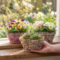 Plantenmand zeegrasmand waterhyacint plantenbak ovaal 20,5cm 3 st | Floristik24.nl