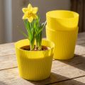 Geplooide manchetten geel 14,5cm 100 stuks | Floristik24.nl