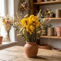 Gedroogde gele strobloem (Helichrysum), bosje gedroogde bloemen, 100 g | Floristik24.nl