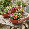 R-kom kunststof terracotta Ø 13cm - 19cm, 10 stuks | Floristik24.nl