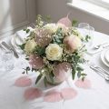 Geskeleteerde Bodhi-bladeren voor creatieve decoraties | Floristik24.nl