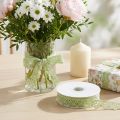 Decoratief lint kant groen 22mm 20m | Floristik24.nl