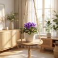 Plantenschommel, bloemenbakje aan touw, hangmand met macramé Ø34cm L84cm | Floristik24.nl