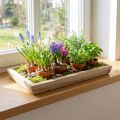 Paulowniahouten dienblad, plantenbak met geometrisch patroon L45cm H4.5cm | Floristik24.nl