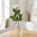 Roomwitte abrikozenroos, zijden bloem, kunstrozen L72cm Ø12cm | Floristik24.nl