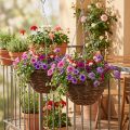 Hangmand Bruin Hangmand Hangmand Plantenmand Ø31cm 2st | Floristik24.nl