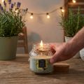 Geurkaars kaars in glas citronella saliegroen H11,5cm | Floristik24.nl