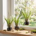 Lelietje-van-dalen in een glas Kunstmatige vroege bloeiers H22cm 3st | Floristik24.nl