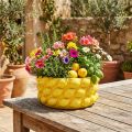 Plantenbak citroen keramiek schaal plantenbak geel Ø26cm H12cm | Floristik24.nl