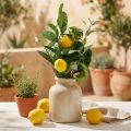 Decoratieve takken, kunstmatige citroenen en olijven, 50 cm, mediterrane vaas, zomerdecoratie | Floristik24.nl