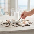 Decoratieve schelpen Egelstekels, zee-egelstekels, maritieme decoratie L3–8cm 450g | Floristik24.nl
