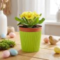 Geplooide manchetten voor bloempotten lichtgroen 14,5cm 100 stuks | Floristik24.nl