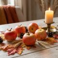 Decoratieve appels Cox 6 cm 6 stuks | Floristik24.nl