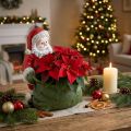 Kerstman plantenbak Kerstman plantenbak 20×26cm | Floristik24.nl