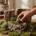 Set van 5 natuurlijke kurkschors voor knutselen en decoraties, 30x20cm | Floristik24.nl