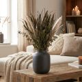 Gedroogde Bloemen Setaria Antraciet Natuurlijke Haren Gierst Bos 100g | Floristik24.nl