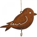 Floristik24 Decoratieve vogel, voedselhanger, metalen decoratie roestvrij staal 19 × 13.5cm