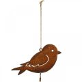 Floristik24 Decoratieve vogel, voedselhanger, metalen decoratie roestvrij staal 19 × 13.5cm